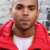 Chris Brown le 13 juin 2012 à NY