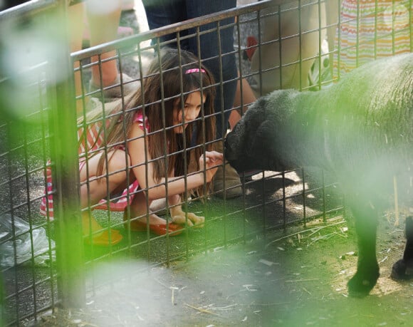 Katie Holmes, sa fille Suri et sa mère Kathleen se sont rendues au zoo de New York, le 11 juillet 2012 - La petite fille oublie le divorce de ses parents grâce aux animaux.