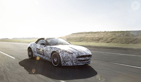 Le bolide F-Type signé Jaguar que représente Lana Del Rey, sera présenté le 27 septembre à Paris lors du Salon de l'automobile