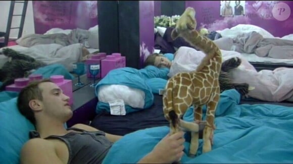 Julien et sa girafe dans Secret Story 6
