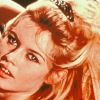 Brigitte Bardot dans le film Liz Hurley.