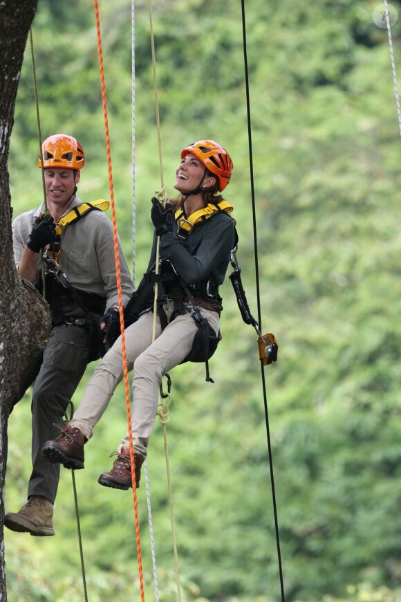 Le prince William et son épouse Kate Middleton suspendu à 40m du sol dans la forêt tropicale de Sabah sur l'île de Borneo le 15 septembre 2012