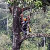 Le prince William et son épouse Kate Middleton avait une vue imprenable sur la forêt tropicale de Sabah sur l'île de Borneo le 15 septembre 2012