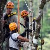 Le prince William et son épouse Kate Middleton écoute les consignes perchés dans un arbre à 40m du sol lors de leur visite dans la forêt tropicale de Sabah sur l'île de Borneo le 15 septembre 2012