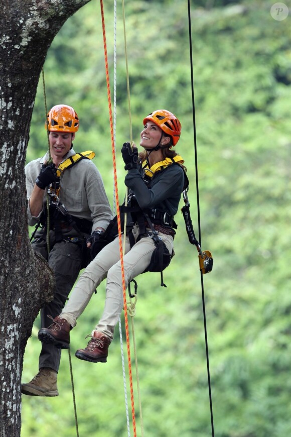Le prince William et son épouse Kate Middleton en visite dans la forêt tropicale de Sabah sur l'île de Borneo le 15 septembre 2012