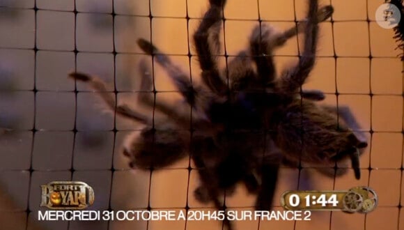 Laury Thilleman dans Fort Boyard spécial Halloween le mercredi 31 octobre 2012 sur France 2