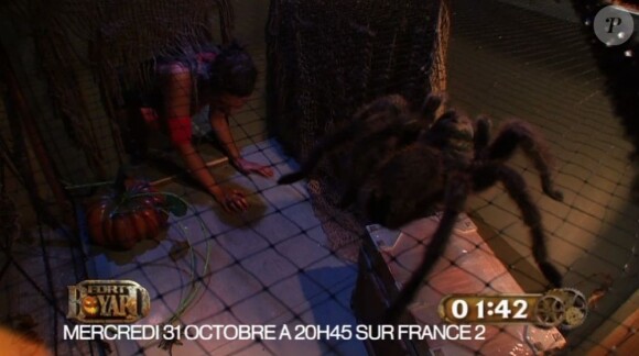 Laury Thilleman affronte des araignées dans Fort Boyard spécial Halloween le mercredi 31 octobre 2012 sur France 2