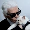 Karl Lagerfeld dévoile sa nouvelle muse : Choupette !