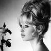 Brigitte Bardot est courtisée pour incarner la James Bond Girl d'Au Service de sa Majesté.