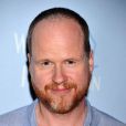 Joss Whedon, le réalisateur adoré par les fans d' Avengers , ne devrait pas prendre les rênes de  Star Wars 7 .