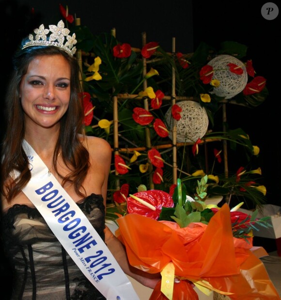 Miss Bourgogne, candidate pour l'élection Miss France 2013 le 8 décembre 2012 sur TF1