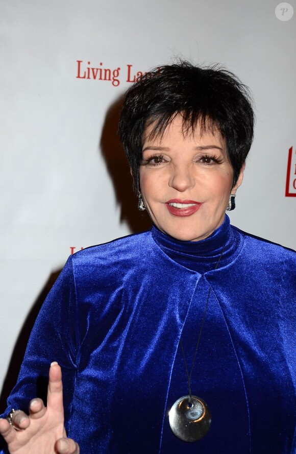 Liza Minnelli à New York le 8 novembre 2012.