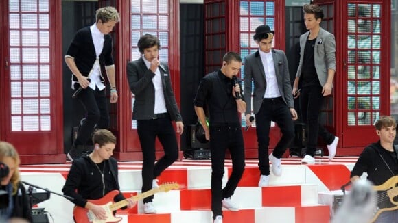 One Direction : Carton dans les charts US, ils font mieux que les Beatles