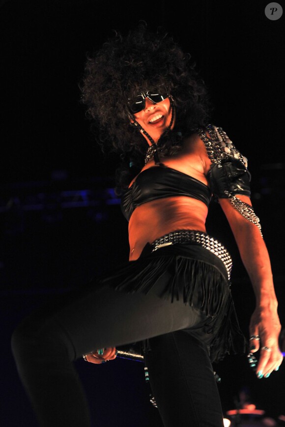 Shaka Ponk en concert à Bercy le 5 janvier 2013.