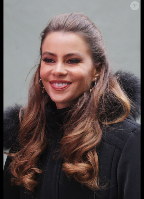 Sofia Vergara le 28 novembre 2012 à New York.