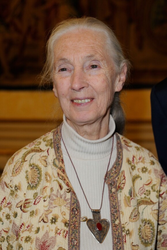 Jane Goodall lors de la conférence de presse du Rallye des Gazelles, au Sénat, le 12 février 2013