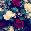 Le 14 février 2013, soir de la Saint-Valentin, Kelly Brook a posté sur son compte Twitter un joli bouquet de fleurs.