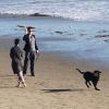 La chanteuse Katy Perry et John Mayer promènent leur chien sur la plage de Montecito le 24 décembre 2012.