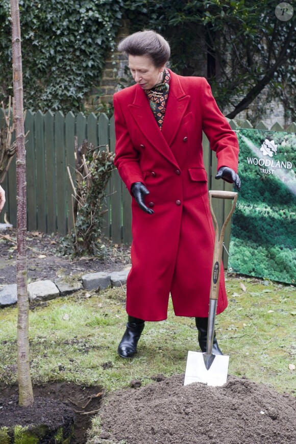 La princesse Anne plantait, avec le concours du Premier ministre David Cameron, le 6 000 000e arbre du programme de reboisement Jubilee Woods, le 27 mars 2013 dans une école d'Ashburnham.