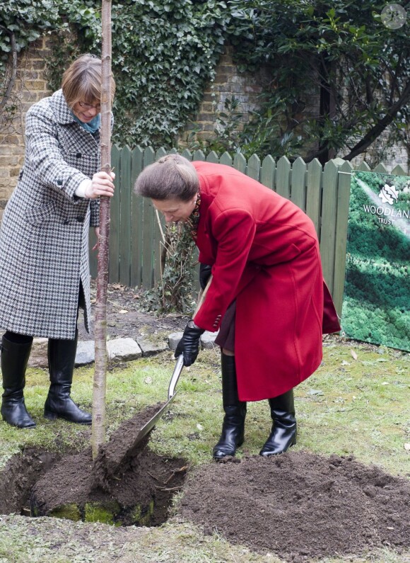 La princesse Anne plantait, avec le concours du Premier ministre David Cameron, le 6 000 000e arbre du programme de reboisement Jubilee Woods, le 27 mars 2013 dans une école d'Ashburnham.