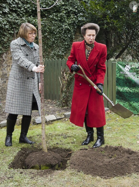 La princesse Anne plantait, avec le concours du Premier ministre David Cameron, le 6 000 000e arbre du programme de reboisement Jubilee Woods, le 27 mars 2013 dans une école d'Ashburnham.