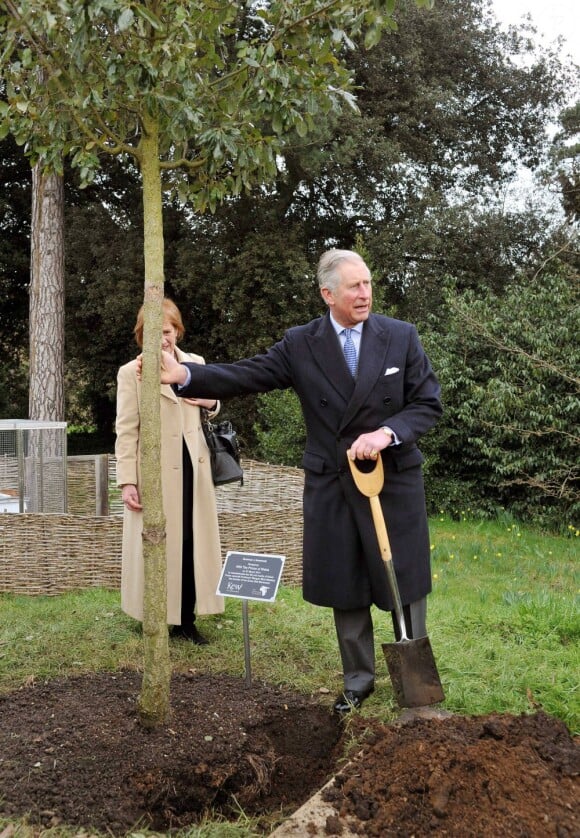 Le prince Charles plantait le 27 mars 2013 dans les jardins botaniques royaux de Kew un jeune chêne à la mémoire de la biologiste kenyane Wangari Maathai Muta, Nobel de la Paix 2004, décédée en septembre 2011.