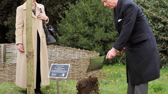 Le prince Charles et la princesse Anne rivalisent dans le planter d'arbre