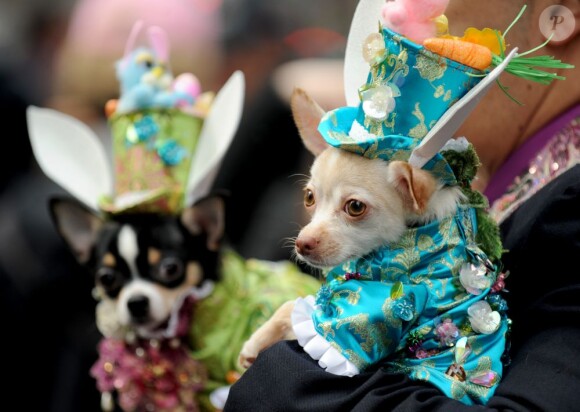 La parade de Pâques de New York, le 31 mars 2013, est chaque année le théâtre de toutes les folies costumées possibles.