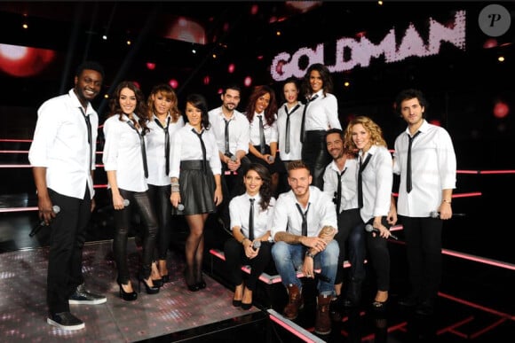 Samedi soir, on chante Goldman sur TF1 le samedi 19 janvier 2013
