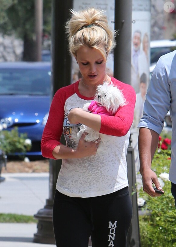 Britney Spears se balade avec son petit ami David Lucado et son chien dans les rues de Thousand Oaks, le 16 mai 2013.