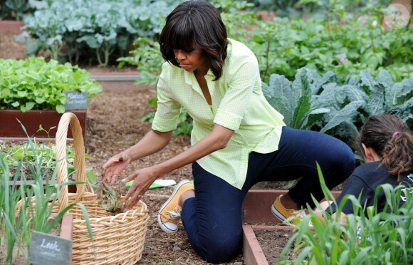 
Michelle Obama récolte les légumes du potager de la Maison Blanche en compagnie d'enfants originaires du New Jersey qui ont été touchés par l'ouragan Sandy, et ceux qui ont planté les légumes au mois d'avril. Washington, le 28 mai 2013. 

