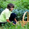 L'épouse du président des États-Unis Michelle Obama récolte les légumes du potager de la Maison Blanche en compagnie d'enfants originaires du New Jersey qui ont été touchés par l'ouragan Sandy, et ceux qui ont planté les légumes au mois d'avril. Washington, le 28 mai 2013.