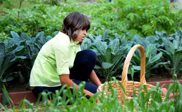 L'épouse du président des États-Unis Michelle Obama récolte les légumes du potager de la Maison Blanche en compagnie d'enfants originaires du New Jersey qui ont été touchés par l'ouragan Sandy, et ceux qui ont planté les légumes au mois d'avril. Washington, le 28 mai 2013.