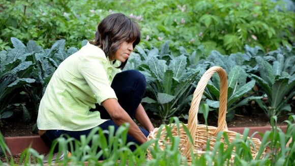 Michelle Obama : Cueillette et pique-nique à la Maison Blanche