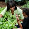 Michelle Obama récolte les légumes du potager de la Maison Blanche en compagnie d'enfants originaires du New Jersey qui ont été touchés par l'ouragan Sandy, et ceux qui ont planté les légumes au mois d'avril. Washington, le 28 mai 2013.