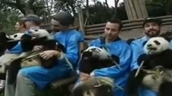 Backstreet Boys : Pour son retour, le boys band culte chante avec des pandas !
