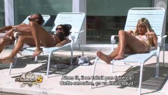 Les Anges de la télé-réalité 5, diffusé le mercredi 5 juin sur NRJ 12.