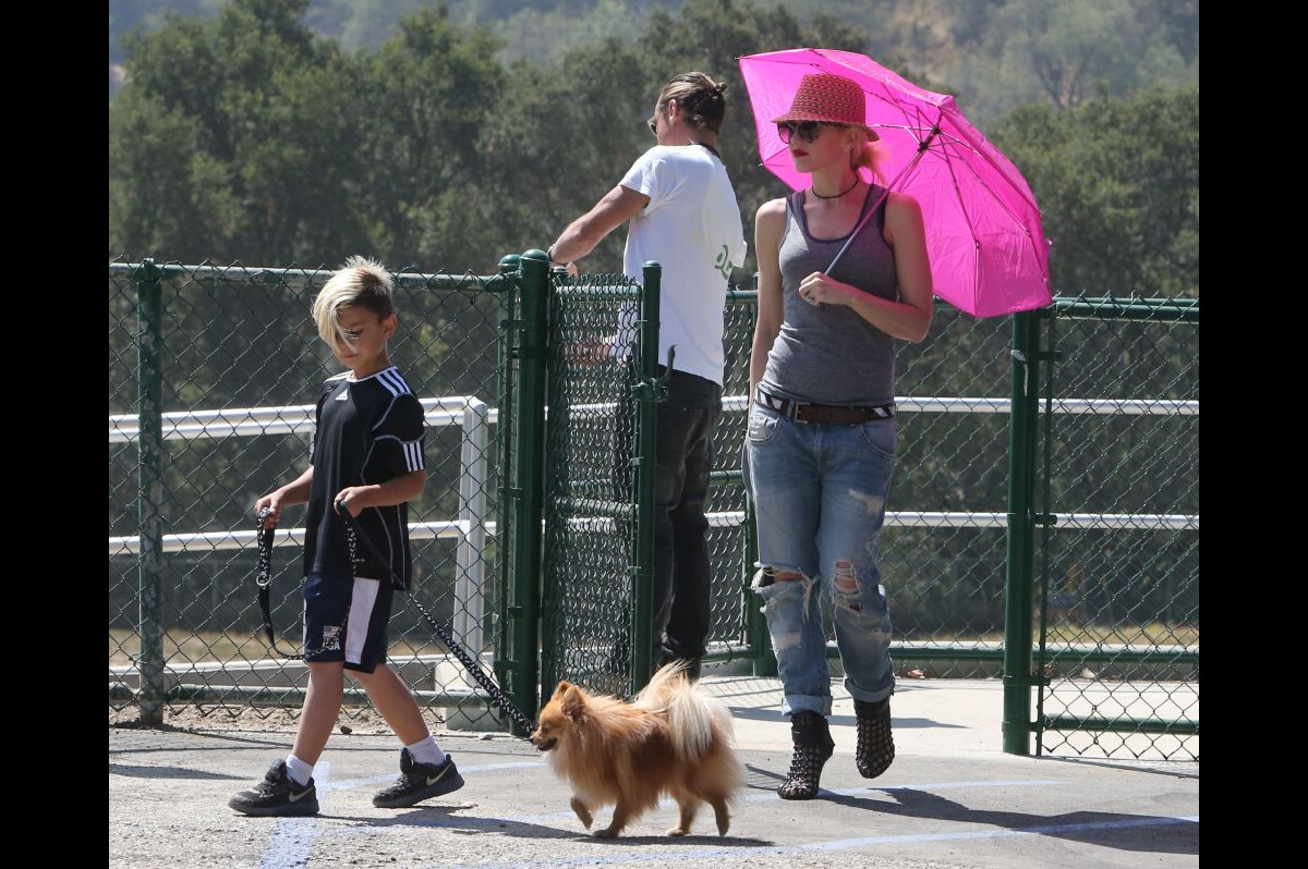 Vidéo Exclusif Gwen Stefani et Gavin Rossdale baladent leur chien à Beverly Hills le
