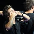 One Direction en concert au Verizon Center de Washington, le 23 juin 2013.