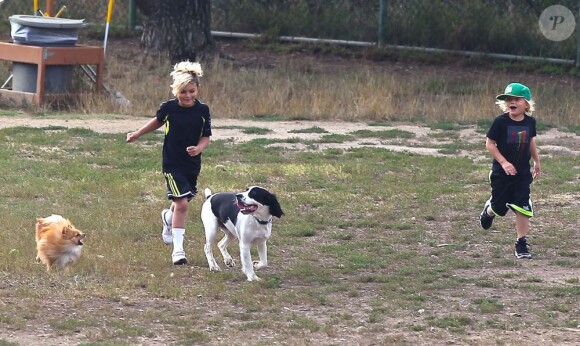 Kingston et Zuma s'amusant au Dog Park de Los Angeles, le 20 juillet 2013.