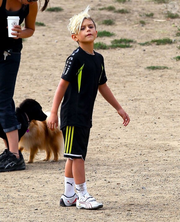 Kingston et Zuma s'amusant au Dog Park de Los Angeles, le 20 juillet 2013.