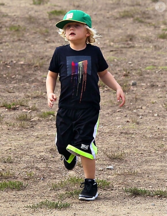 Kingston et Zuma s'amusant au Dog Park de Los Angeles, le 20 juillet 2013.