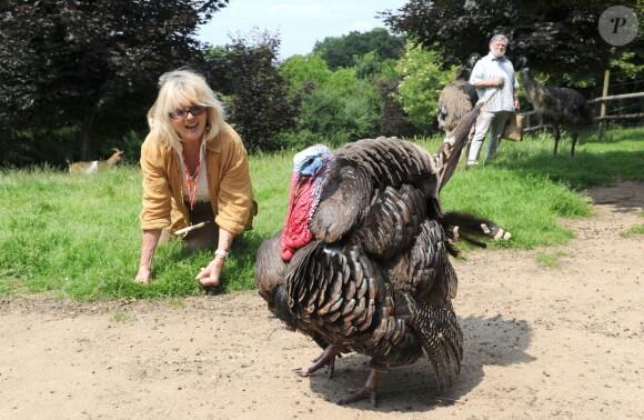 Exclusif - Mylène Demongeot dans sa propriété en Mayenne, avec ses animaux, le 1er juillet 2012.