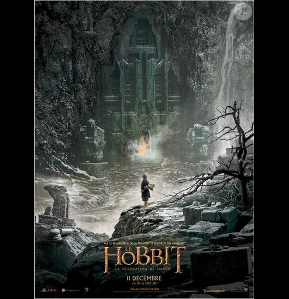Affiche du film Le Hobbit : La Désolation de Smaug.