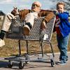 Le film Bad Grandpa avec Johnny Knoxville
