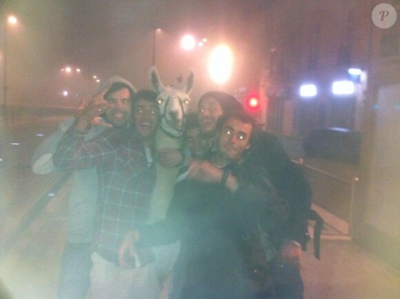 Serge le lama et ses ravisseurs d'un soir dans les rues de Bordeaux, jeudi 31 octobre 2013.
