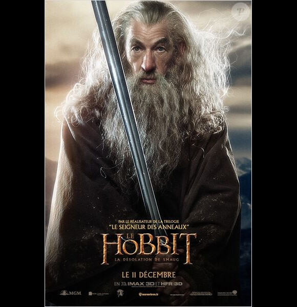 Affiche du Hobbit - La Désolation de Smaug, en salles le 11 décembre 2013 avec Ian McKellen