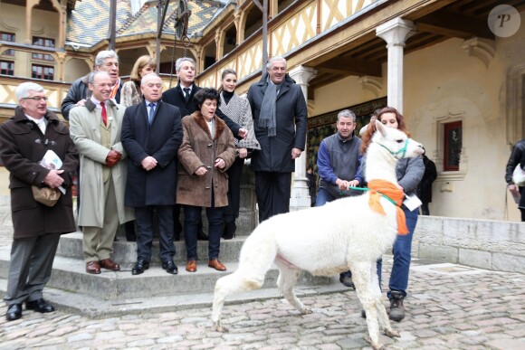 Jean-Pierre Castaldi, Anne Lauvergeon, Clotilde Courau, Alain Suguenot, maire de Beaune, et Dominique Bayle posent avec un lama lors de la vente aux enchères des vins des Hospices de Beaune le 17 Novembre 2013.