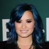 Demi Lovato à Los Angeles, le 23 novembre 2013.