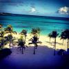 Tal, sa vue aux Bahamas, le 1er janvier 2014.